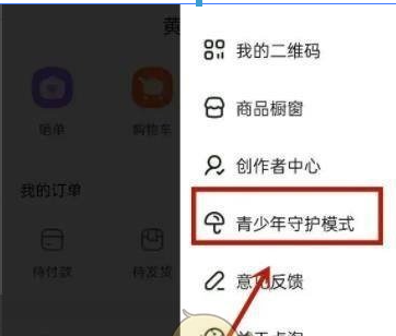 点淘app青少年模式怎么设置 青少年模式设置方法