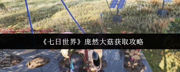 七日世界庞然大菇怎么获取  七日世界庞然大菇获取攻略