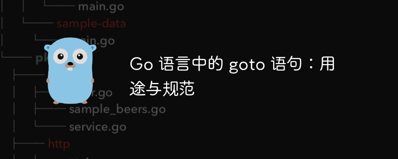 Go 语言中的 goto 语句：用途与规范