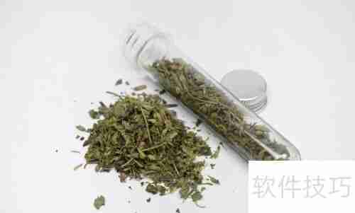 猫薄荷对猫咪的影响与作用