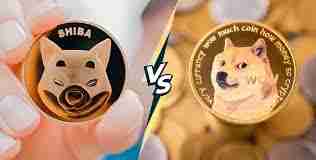 柴犬币和狗狗币哪个更具优势