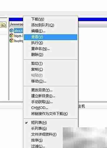 FTP软件使用入门指南
