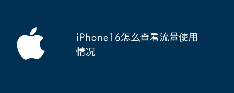 iPhone16怎么查看流量使用情况