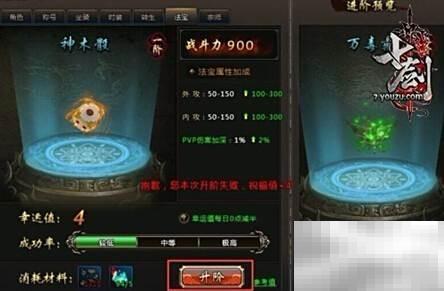 如意丹功效解析及使用指南