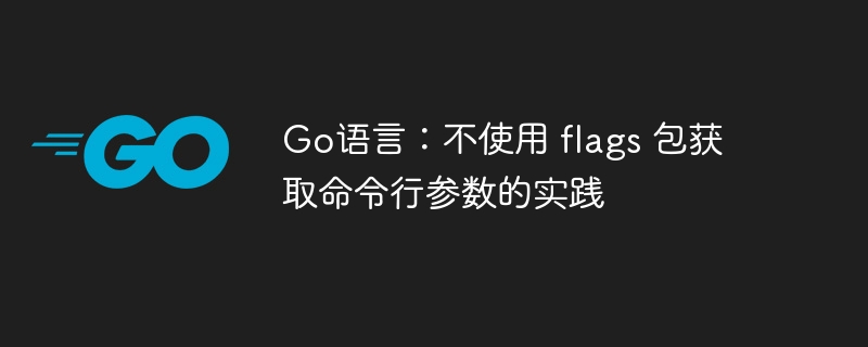 Go语言：不使用 flags 包获取命令行参数的实践