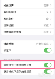 如何将iphone14pro调至静音模式