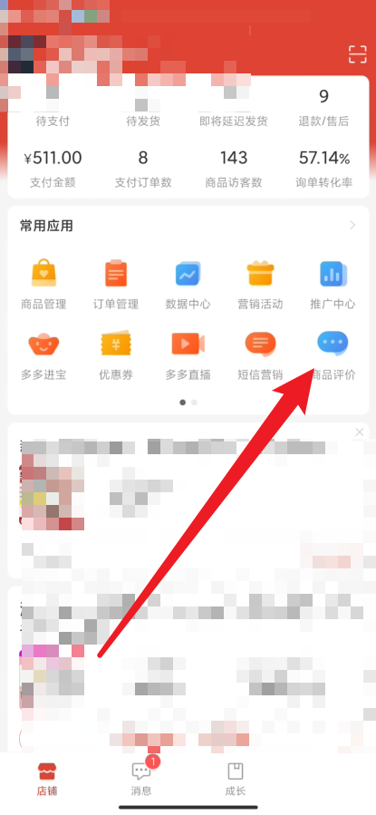 拼多多商家版评论怎么举报