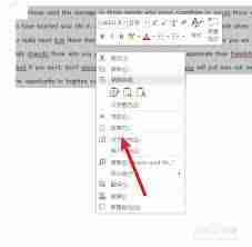 word文档英文单词分开了如何解决