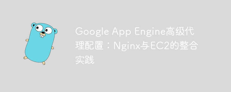 Google App Engine高级代理配置：Nginx与EC2的整合实践