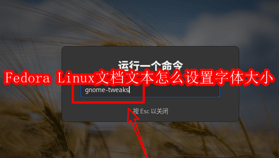 Fedora Linux文档文本怎么设置字体大小