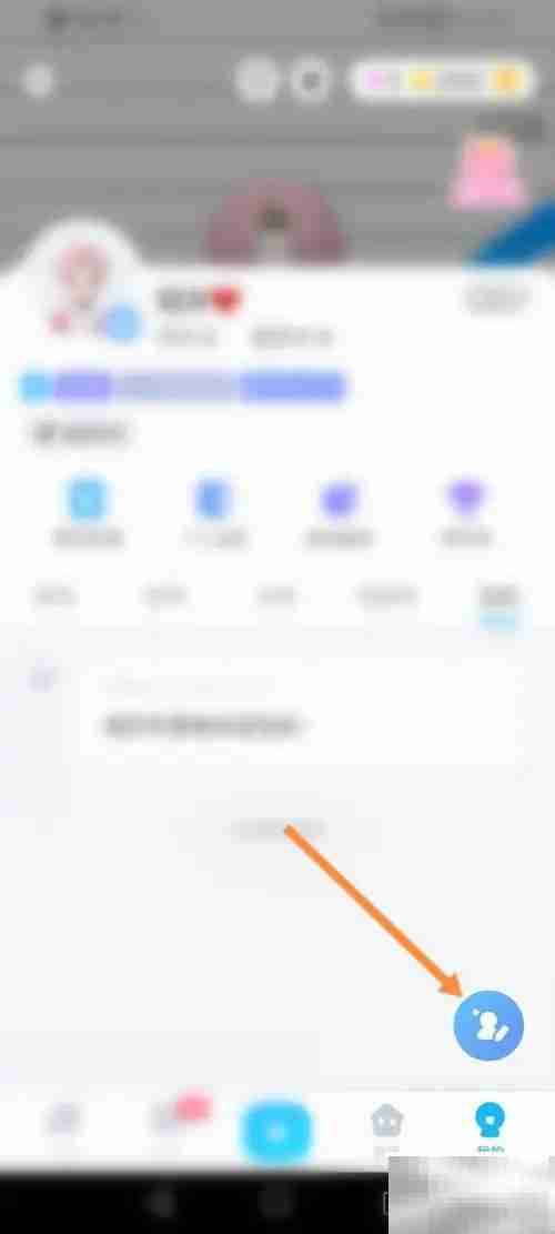 星偶软件装扮修改指南