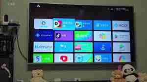 抖音电视版叫什么