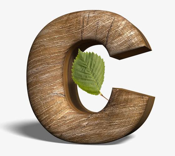 C#指针类型及使用方法详解