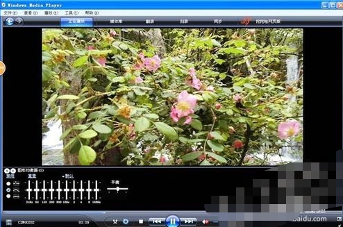 windows media player如何播放mp4