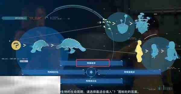 死亡搁浅2小雨三个谜题答案 小雨谜题答案和奖励