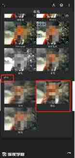 painter怎么进行模糊处理