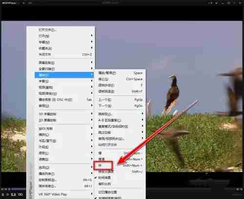 kmplayer plus怎么加速？kmplayer plus加速的方法