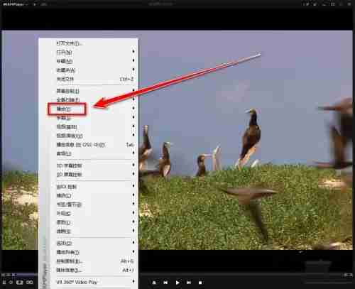 kmplayer plus怎么加速？kmplayer plus加速的方法