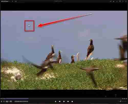 kmplayer plus怎么加速？kmplayer plus加速的方法
