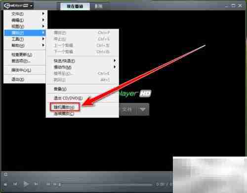 RealPlayer随机播放视频方法