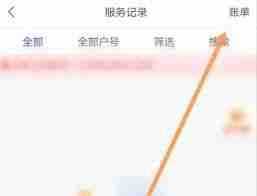 如何在网上国网查看缴费记录