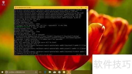 Win10子系统批量处理图片技巧