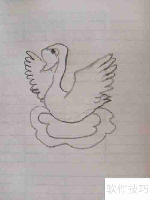 学会这招，轻松画出优雅天鹅简笔画