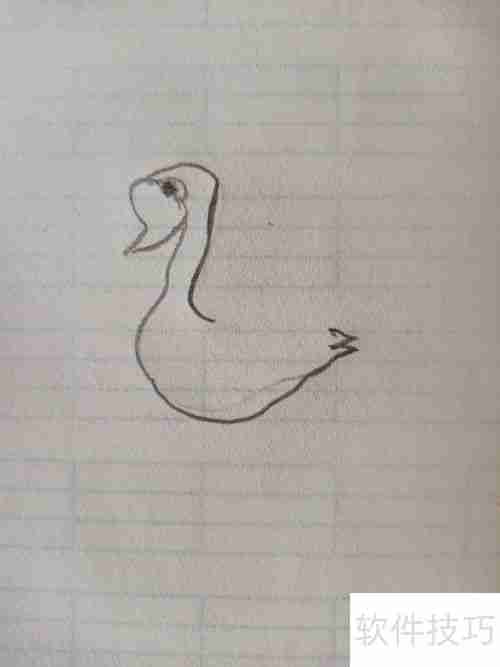 学会这招，轻松画出优雅天鹅简笔画