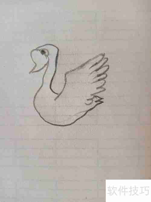 学会这招，轻松画出优雅天鹅简笔画