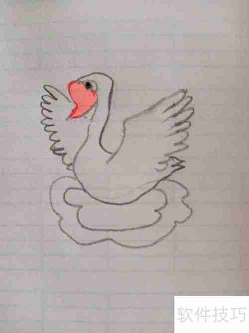 学会这招，轻松画出优雅天鹅简笔画