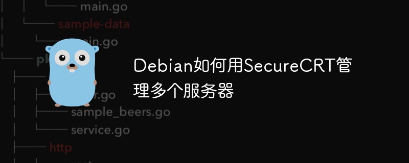 Debian如何用SecureCRT管理多个服务器