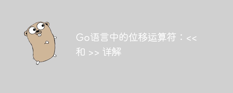 Go语言中的位移运算符：<< 和 >> 详解
