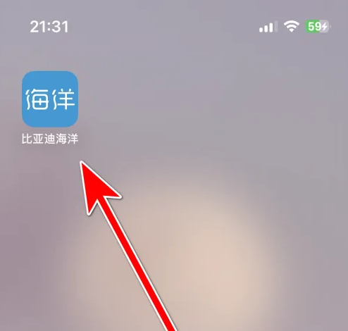 比亚迪海洋app怎么办车主认证 比亚迪海洋车主认证方法