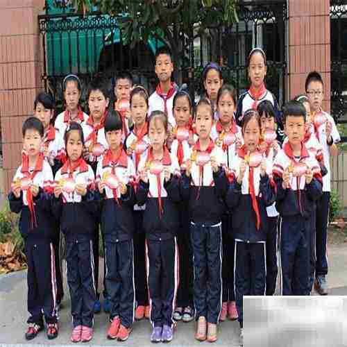 小学成绩影响中学吗