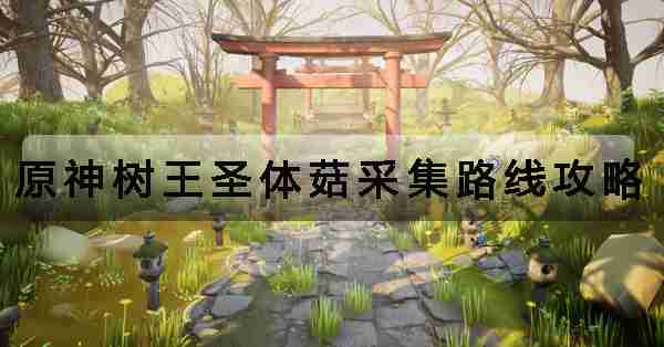 原神树王圣体菇采集路线攻略