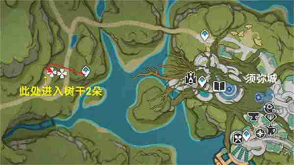 原神树王圣体菇采集路线攻略