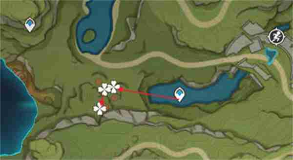 原神树王圣体菇采集路线攻略