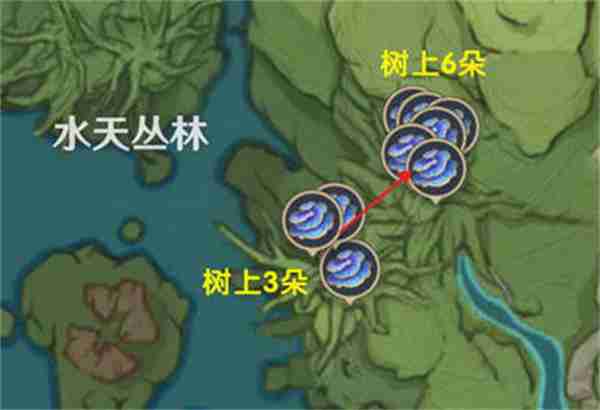 原神树王圣体菇采集路线攻略