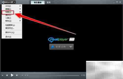 RealPlayer视频放大技巧