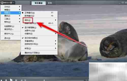 RealPlayer视频放大技巧
