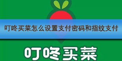 叮咚买菜支付密码与指纹设置教程
