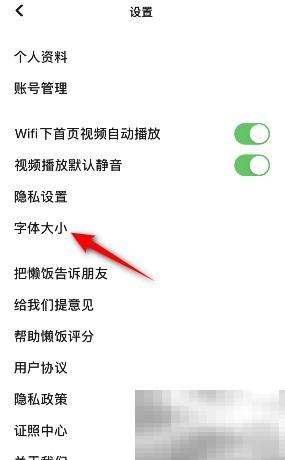 懒饭字体大小怎么调