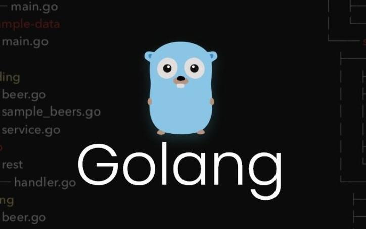 探讨 Go 语言在跨平台开发中的常见兼容性问题