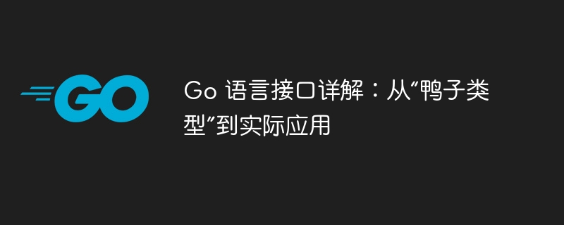 Go 语言接口详解：从“鸭子类型”到实际应用