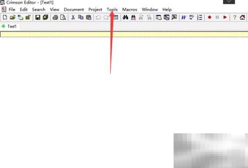 Crimson Editor 设置制表符方法详解