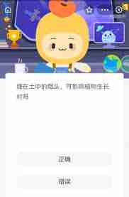 埋在土里的烟头对植物生长有影响吗