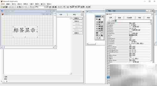 VF6.0标签控件文本显示