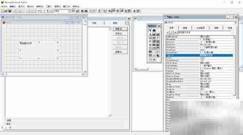 VF6.0标签控件文本显示