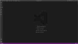 如何在Vscode中打开动画