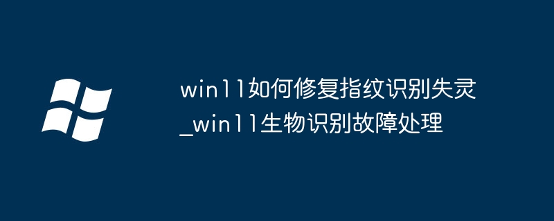 Win11指纹识别故障修复方法